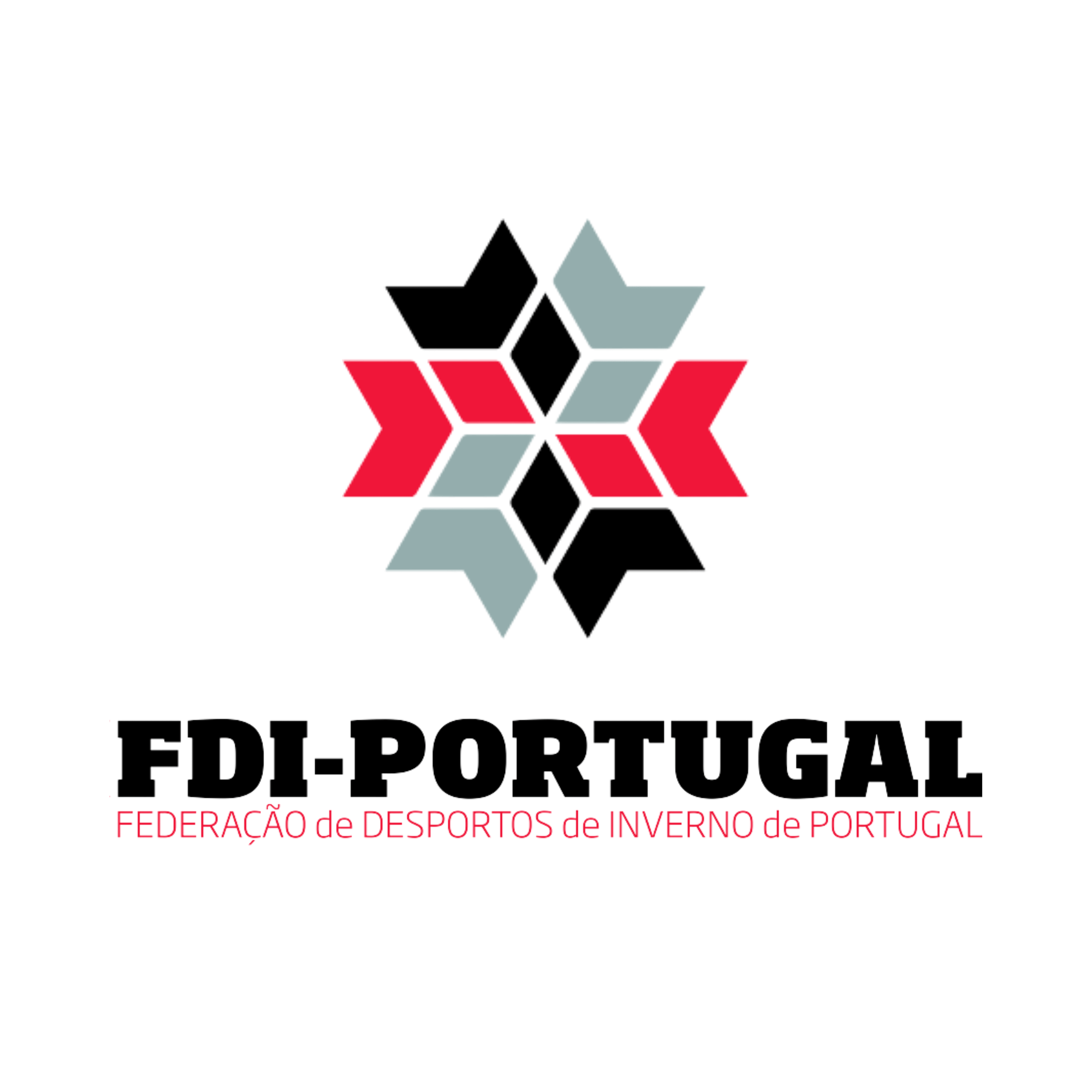 Logo FDI Portugal